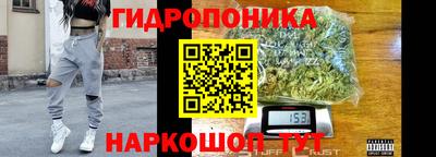 винт Донецк