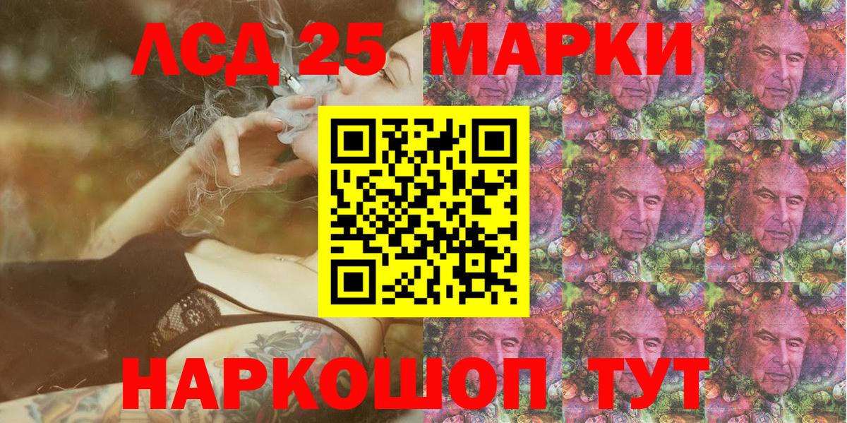 Псилоцибиновые грибы Новоалександровск