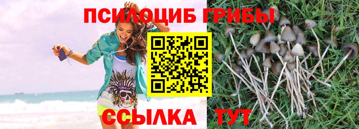 Галлюциногенные грибы прущие грибы Новоалександровск