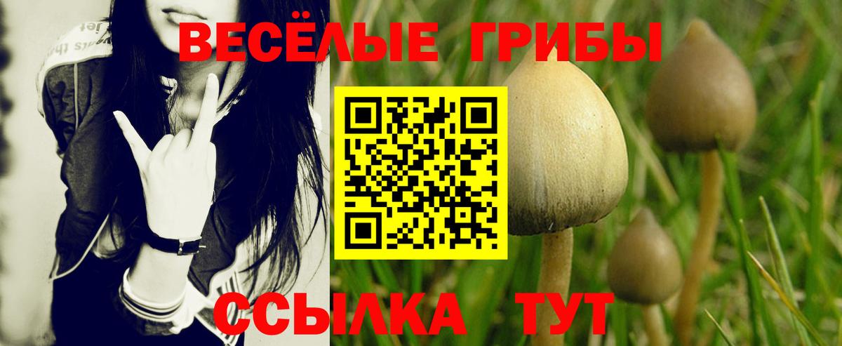 Новоалександровск  Галлюциногенные грибы мухоморы  Вход с VPN  Галлюциногенные грибы MAGIC MUSHROOMS 