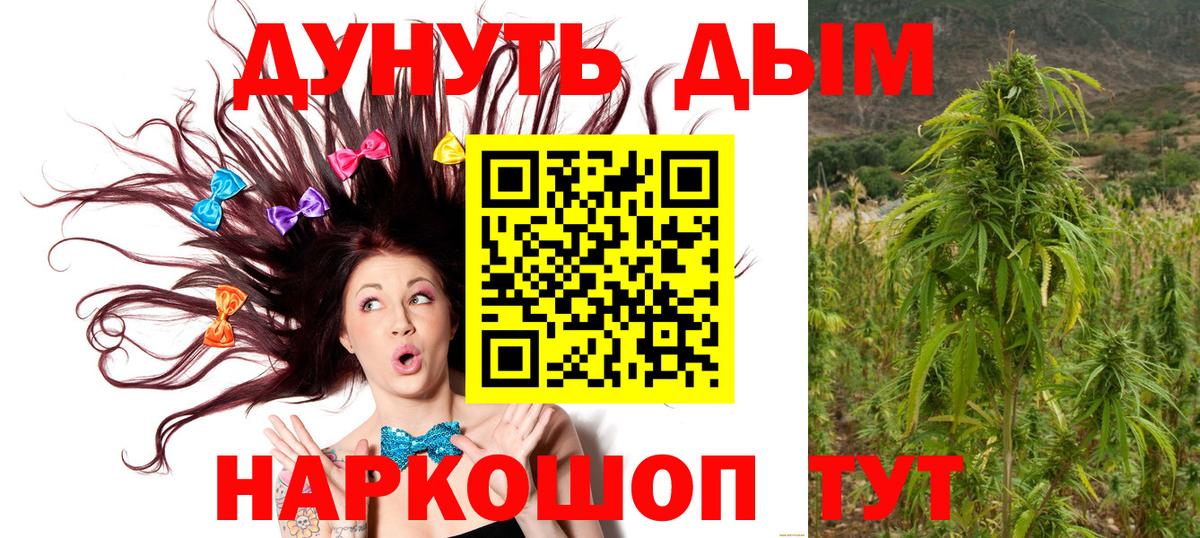Шишки марихуана гибрид Новоалександровск